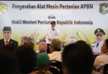 Wamentan Serahkan Bantuan Alsintan untuk Genjot Produksi di Purworejo Wakil Menteri Pertanian (Wamentan), Harvick Hasnul Qolbi menyerahkan sejumlah bantuan alat mesin pertanian (alsintan) untuk para kelompok tani di Kabupaten Purworejo, Jawa Tengah.