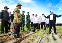 Kementan Gelar Gerakan Tanam Padi Pacu Akselerasi Food Estate di Pulpis Kalteng FOTO: Menteri Pertanian (Mentan) Andi Amran Sulaiman diwakili Direktur Jenderal Tanaman Pangan, Suwandi melakukan gerakan tanam padi pada Food Estate di Desa Pantik, Kecamatan Pandih Batu, Kabupaten Pulang Pisau (Pulpis), Kalimantan Tengah.
