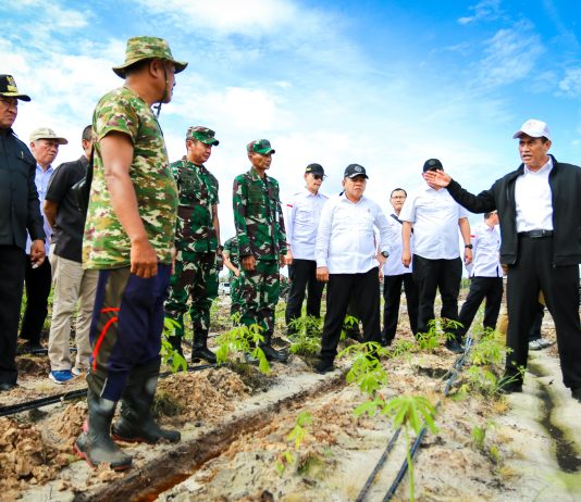 Kementan Gelar Gerakan Tanam Padi Pacu Akselerasi Food Estate di Pulpis Kalteng FOTO: Menteri Pertanian (Mentan) Andi Amran Sulaiman diwakili Direktur Jenderal Tanaman Pangan, Suwandi melakukan gerakan tanam padi pada Food Estate di Desa Pantik, Kecamatan Pandih Batu, Kabupaten Pulang Pisau (Pulpis), Kalimantan Tengah.