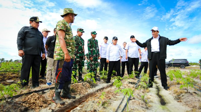 FOTO: Menteri Pertanian (Mentan) Andi Amran Sulaiman diwakili Direktur Jenderal Tanaman Pangan, Suwandi melakukan gerakan tanam padi pada Food Estate di Desa Pantik, Kecamatan Pandih Batu, Kabupaten Pulang Pisau (Pulpis), Kalimantan Tengah.