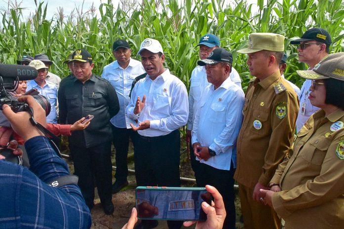 FOTO: Menteri Pertanian (Mentan) Andi Amran Sulaiman bersama Wakil Menteri Pertahanan RI, Muhammad Herindra meninjau kegiatan food estate berupa tanaman jagung di Kabupaten Gunung Mas, Kalimantan Tengah.