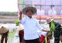 Wamenhan Berterimakasih Pada Mentan Amran Bantu Tangani Food Estate Gunung Mas FOTO: Wakil Menteri Pertahanan (Wamenhan RI), Muhammad Herindra.