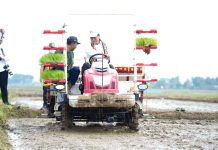 Kementan Akselerasi Percepat Tanam di Provinsi Lampung FOTO: Kementerian Pertanian (Kementan) terus melakukan percepatan tanam untuk memenuhi kebutuhan pasokan dalam negeri terutama pada penguatan pangan selama cuaca ekstrem melanda seluruh dunia.