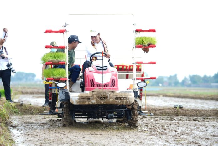 FOTO: Kementerian Pertanian (Kementan) terus melakukan percepatan tanam untuk memenuhi kebutuhan pasokan dalam negeri terutama pada penguatan pangan selama cuaca ekstrem melanda seluruh dunia.