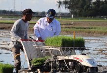 Tanam Padi di Aceh Besar, Wamentan Minta Indeks Pertanaman Ditingkatkan FOTO: Wakil Menteri Pertanian (Wamentan), Harvick Hasnul Qolbi melakukan gerakan percepatan tanam padi di area lahan seluas 900 hektar di kecamatan Indrapuri, Kabupaten Aceh Besar, Provinsi Aceh, Jumat (22/12/2023).