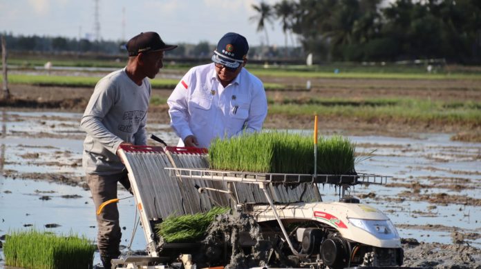 FOTO: Wakil Menteri Pertanian (Wamentan), Harvick Hasnul Qolbi melakukan gerakan percepatan tanam padi di area lahan seluas 900 hektar di kecamatan Indrapuri, Kabupaten Aceh Besar, Provinsi Aceh, Jumat (22/12/2023).