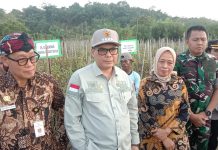 Wamentan Akan Terus Tingkatkan SDM untuk Akselerasi Sektor Pertanian di Sorong FOTO: Wakil Menteri Pertanian (Wamentan), Harvick Hasnul Qolbi usai panen cabai dan tomat di Distrik Mariat, Kabupaten Sorong, Kamis (28/12/2023).