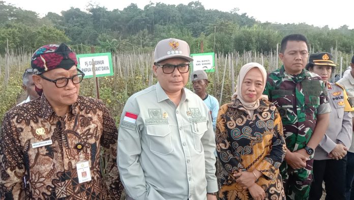 FOTO: Wakil Menteri Pertanian (Wamentan), Harvick Hasnul Qolbi usai panen cabai dan tomat di Distrik Mariat, Kabupaten Sorong, Kamis (28/12/2023).