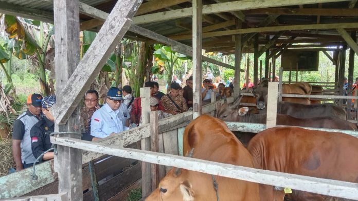 FOTO: Wamentan Harvick saat meninjau peternakan yang dikelola oleh Kelompok Tani Peternak Tunas Niaga di distrik Mariat, Kabupaten Sorong, Papua Barat Daya, Jumat (29/12/2023).