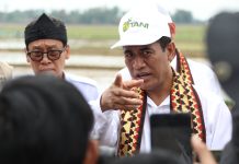 Tegaskan Pupuk Cukup, Mentan Ajak Tanam Jagung Di Konawe Utara FOTO: Menteri Pertanian Andi Amran Sulaiman