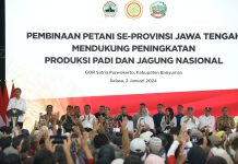 Mentan Amran Berterimakasih, Presiden Tambah Anggaran Pupuk Subsidi 14 Triliun FOTO: Presiden Jokowi dan Menteri Pertanian Andi Amran Sulaiman dalam kunjungan kerjanya ke Banyumas, Jawa Tengah, Selasa, 2 Januari 2024.