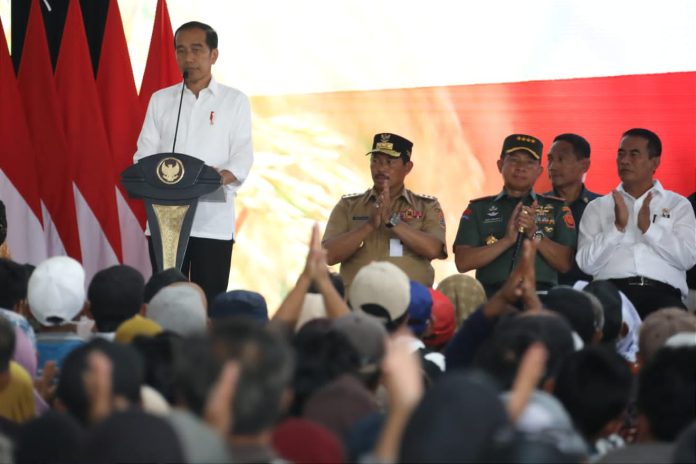 FOTO: Presiden Jokowi dan Menteri Pertanian Andi Amran Sulaiman dalam kunjungan kerjanya ke Banyumas, Jawa Tengah, Selasa, 2 Januari 2024.