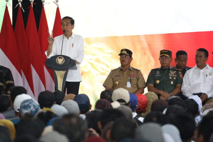 FOTO: Presiden Jokowi dan Menteri Pertanian Andi Amran Sulaiman dalam kunjungan kerjanya ke Banyumas, Jawa Tengah, Selasa, 2 Januari 2024.