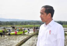 Presiden Ajak Petani Jawa Tengah Percepat Tanam di Bulan Januari 2024 FOTO: Presiden Joko Widodo atau Jokowi saat mengunjungi di Kabupaten Banyumas, Jawa Tengah, Rabu, 3 Januari 2024. (sumber akun Facebook Jokowi)