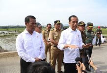 Presiden Pastikan Ketersediaan Pupuk Subsidi Aman FOTO: Presiden Joko Widodo (Jokowi) didampingi Menteri Pertanian Andi Amran Sulaiman saat meninjau tanam padi di Kabupaten Banyumas, Jawa Tengah. Rabu, 3 Januari 2024.