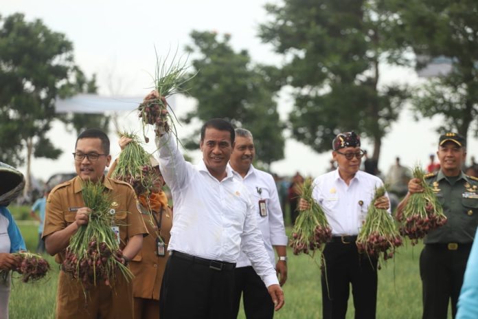 FOTO: Menteri Pertanian (Mentan) Andi Amran Sulaiman menghadiri panen raya bawang merah di Kabupaten Brebes, Jawa Tengah, Rabu (3/1).