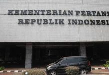 Lelang Jabatan Eselon I dan II Kementan Ramai Peminat dari Luar FOTO: Kantor Kementerian Pertanian RI (ist)