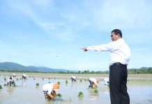Awal Hujan, Mentan Dorong Petani Sultra Percepat Masa Tanam dan Tidak Khawatir Pupuk FOTO: Menteri Pertanian (Mentan) Andi Amran Sulaiman saat berkunjung ke Kabupaten Konawe di Propinsi Sulawesi Tenggara (Sultra), untuk segera mempercepat masa tanam di bulan Januari 2024.