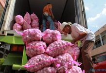 Dirjen Hortikultura Terus Pastikan Layanan Rekomendasi Impor Bawang Putih Sesuai Ketentuan Ilustrasi bawang putih. (hebat.temanggungkab.go.id)