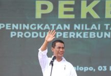 Apresiasi Food Estate Partisipatif Pemkab Sumedang, Mentan Amran: Food Estate Program Untuk Masa Depan Indonesia FOTO: Menteri Pertanian Andi Amran Sulaiman saat berkunjung ke kota Palopo, Sulawesi Selatan