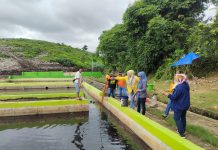 Peduli Lingkungan Caleg Partai Golkar Tuangkan Cairan Ekoenzim di Kolam Lindi TPA Tamangapa FOTO: Ratna Raki saat berkunjung ke kolam Lindi TPA Tamangapa, Manggala, Makassar.