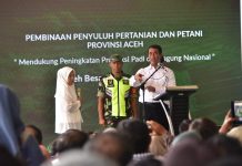 Pengecer Pupuk Nakal, Dicabut Izin dan Dipidanakan FOTO: Menteri Pertanian (Mentan) Andi Amran Sulaiman saat melakukan lawatan ke Provinsi Aceh di Deunong, Kecamatan Darul Imarah, Kabupaten Aceh Besar, Selasa (6/2/2024).