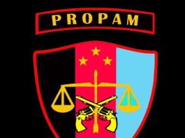 Diduga Lakukan Aniaya, Keluarga Tahanan Adukan Oknum Polisi di Polres Lutra ke Propam ILUSTRASI: Lambang Propam (ist)