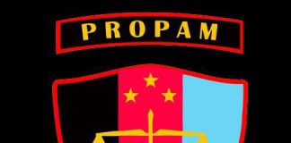 Tahanan Melarikan Diri dari Rumah Sakit, Kapolsek Makassar Bakal Diadukan ke Propam Polda Sulsel ILUSTRASI: Lambang Propam (ist)
