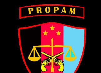 Tahanan Melarikan Diri dari Rumah Sakit, Kapolsek Makassar Bakal Diadukan ke Propam Polda Sulsel ILUSTRASI: Lambang Propam (ist)