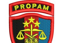 JAN Sulsel Desak Propam Buka Hasil Pemeriksaan Oknum Resnarkoba Polres Bulukumba ILUSTRASI: Lambang Propam (ist)