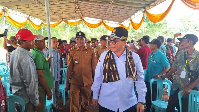 FOTO: Wakil Menteri Pertanian (Wamentan), Harvick Hasnul Qolbi melakukan tanam jagung di Desa Takerharjo, Kecamatan Solokuro, Kabupaten Lamongan, Jawa Timur, Selasa (6/2/2024).