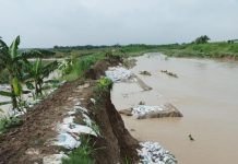 Kementan Respon Cepat Tangani Dampak Banjir di Demak FOTO: Curah hujan tinggi terjadi luapan air sungai sebabkan areal persawahan di Kabupaten Demak terdampak.