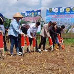Kementan Bersama Gempita Genjot Penanaman Jagung di Subang, Jabar FOTO: Gerakan pemuda tani Indonesia (Gempita) yang melakukan penanaman jagung di Desa Gembor, Kecamatan Pagaden, Kabupaten Subang, Jawa Barat.