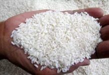 Harga Beras Menggila, HET Pemerintah untuk Medium Rp10.900, Harga di Pasaran Tembus Rp13.830 per Kilogram ILUSTRASI: Beras Medium