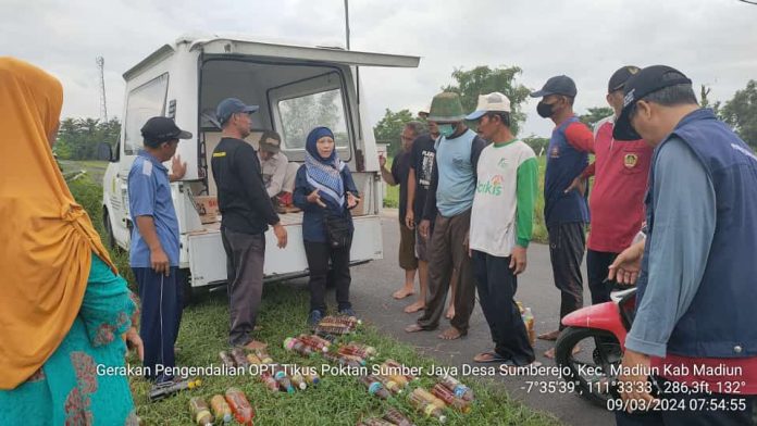 FOTO: Tim Gerdal (Gerakan Pengendalian) tikus dan jamur Kementerian Pertanian di salah satu area persawahan di Kabupaten Madiun, Jawa Timur.