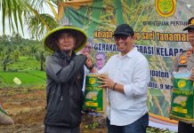 Pacu Produksi Beras, Kementan Tanam Padi Gogo Integrasi Kelapa di Sukabumi FOTO: Ditjen Perkebunan Kementan, M. Rizal Ismail pada kegiatan penanaman padi gogo tersebut, Sabtu (9/3/2024).