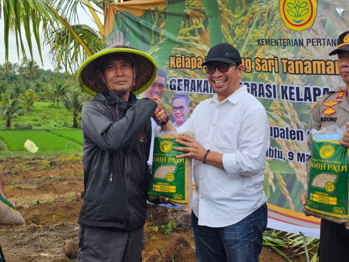 FOTO: Ditjen Perkebunan Kementan, M. Rizal Ismail pada kegiatan penanaman padi gogo tersebut, Sabtu (9/3/2024).