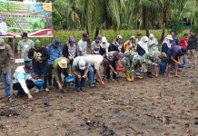 Kementan Lakukan Pencanangan Penanaman Padi Gogo Tumpang Sari Kelapa di Wajo FOTO: Kegiatan peningkatan produksi beras nasional dilaksanakan di Kabupaten Wajo dengan target penanaman tahun 2024 ini seluas 1.899 ha.