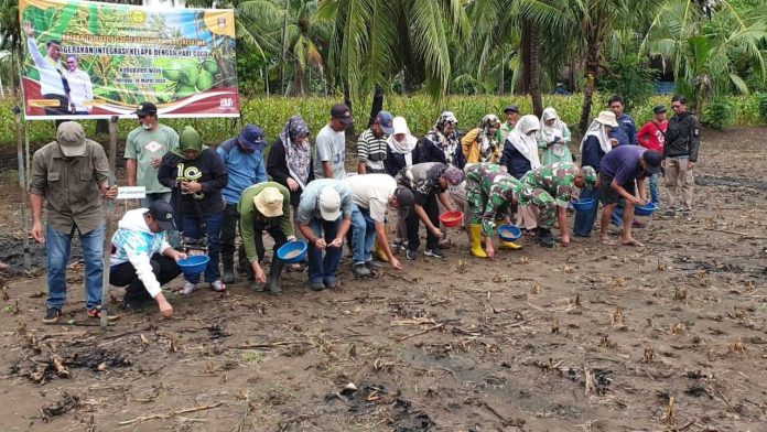 FOTO: Kegiatan peningkatan produksi beras nasional dilaksanakan di Kabupaten Wajo dengan target penanaman tahun 2024 ini seluas 1.899 ha.