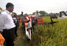 Amankan Produksi Beras, Kementan Giatkan Penggunaan Alsintan Saat Panen Raya FOTO: Menteri Pertanian Andi Amran Sulaiman memperhatikan proses panen padi menggunakan mesin Combine Harvester saat panen raya (ilustrasi). Antara/Oky Lukmansyah