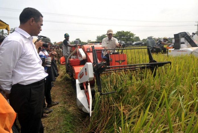 FOTO: Menteri Pertanian Andi Amran Sulaiman memperhatikan proses panen padi menggunakan mesin Combine Harvester saat panen raya (ilustrasi). Antara/Oky Lukmansyah