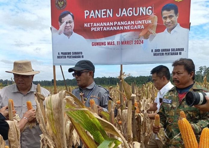 FOTO: Kementerian Pertanian (Kementan) bersama jajaran Kementerian Pertahanan (Kemenhan) menggelar panen raya jagung di lahan food estate Desa Tewai Baru, Kecamatan Sepang, Kabupaten Gunung Mas, Provinsi Kalimantan Tengah.