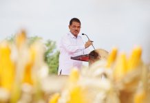 Kementan Sebut Panen Raya Jagung di Tuban Capaian Luar Biasa FOTO: Direktur Jenderal Tanaman Pangan Kementerian Pertanian (Kementan) Suwandi berkunjung ke Kabupaten Tuban, Jawa Timur, Selasa 19 Maret 2024.