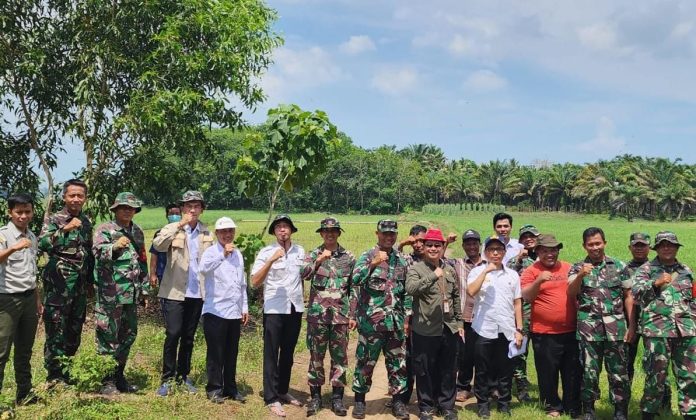 FOTO: Kementerian Pertanian (Kementan) terus mendorong Provinsi Lampung sebagai sentra produksi beras nasional. Untuk mewujudkannya, Kementan menggandeng TNI Angkatan Darat (AD) dalam mengoptimalkan lahan pertanian