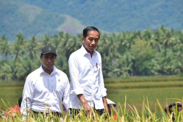 FOTO: Presiden Jokowi didampingi Menteri Pertanian (Mentan) Andi Amran Sulaiman mengunjungi panen padi di Desa Pandere, Kecamatan Gumbasa, Kabupaten Sigi, Sulawesi Tengah, Sulawesi Tengah, Rabu (27/3/2024).