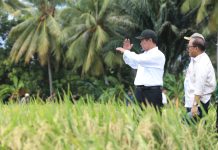 Catatan Sejarah Bagi Pertanian Indonesia, Mentan Amran Serahkan Total Alokasi Pupuk Subsidi 54 Triliun FOTO: Menteri Pertanian (Mentan) Andi Amran Sulaiman