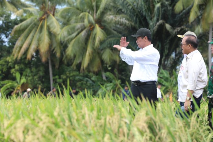 FOTO: Menteri Pertanian (Mentan) Andi Amran Sulaiman