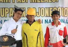 Anggaran Pupuk Ditambah 28 Triliun, DPR Sebut Mentan Amran Sebagai Pejuang Petani FOTO: Menteri Pertanian (Mentan) Andi Amran Sulaiman dengan para petani dalam suatu kegiatan panen raya.