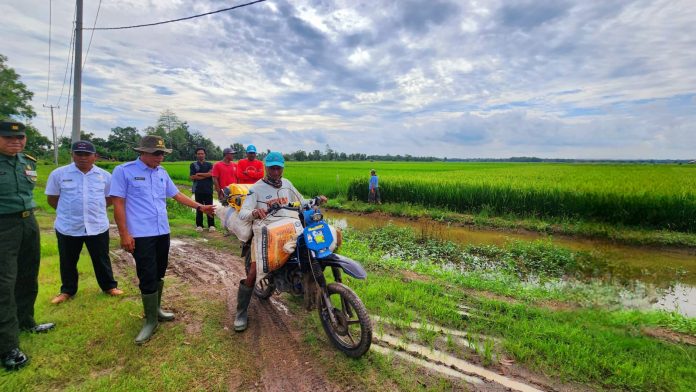 Optimalisasi Lahan di Lampung Kementan-TNI Terjun ke Lapangan Setiap Hari