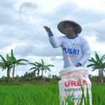 Salurkan Pupuk Bersubsidi, Kemenkop Ubah Gapoktan Jadi Koperasi FOTO: Ilustrasi Petani dan Pupuk bersubsidi (istimewa)